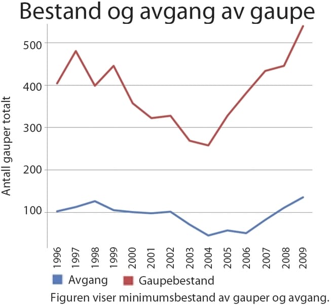 Naturvernforbundet frykter at gaupebestanden igjen skal falle. Fra 1997-2004 ble bestanden nesten halvert, fra 481 til 258 dyr. Jaktkvotene for de siste årene er høyere enn de var da reduksjonen kom.