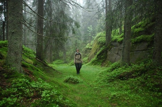 En turgåer i skogen