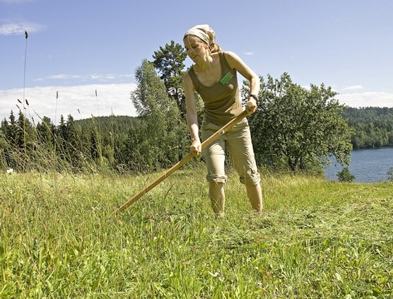 slått kvinne natur høygress elv himmel arbeid