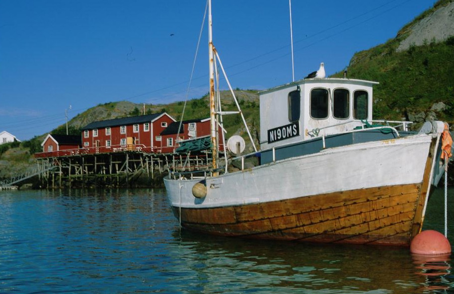 Fiskebåt i lofoten