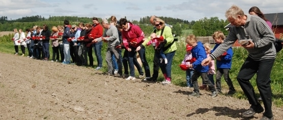 Mennesker som dyrker korn