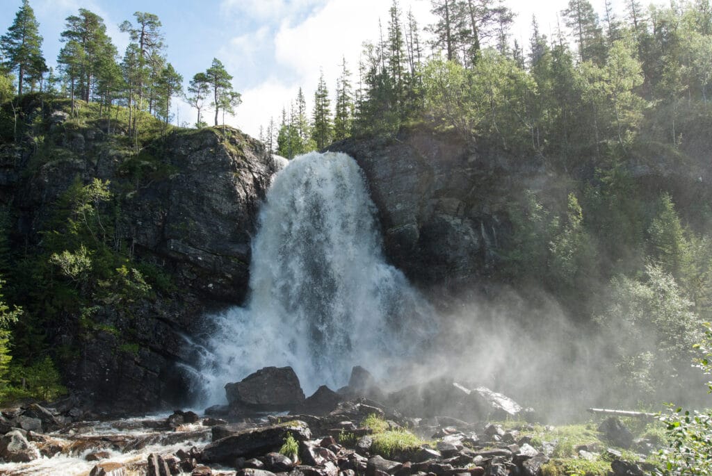 Elv vannfall natur grønt Ekorndalelva