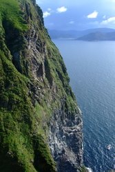 Fuglefjellet på Runde er bare en skygge av hva det tidligere var.