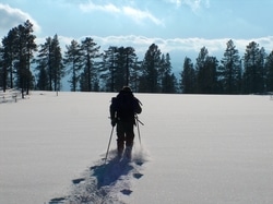 Øystein Engen på vei innover i Trillemarkas skoger. Foto: Naturvernforbundet i Buskerud