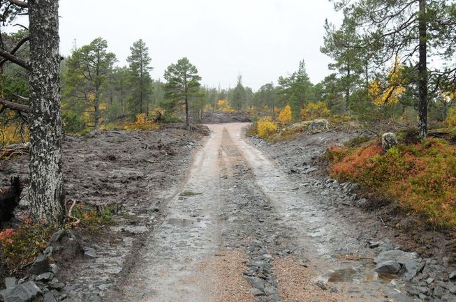 skogsvei bil ødeleggelse