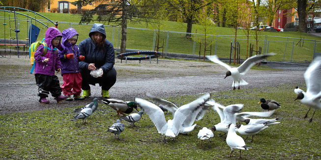 Barn og voksen som mater måker