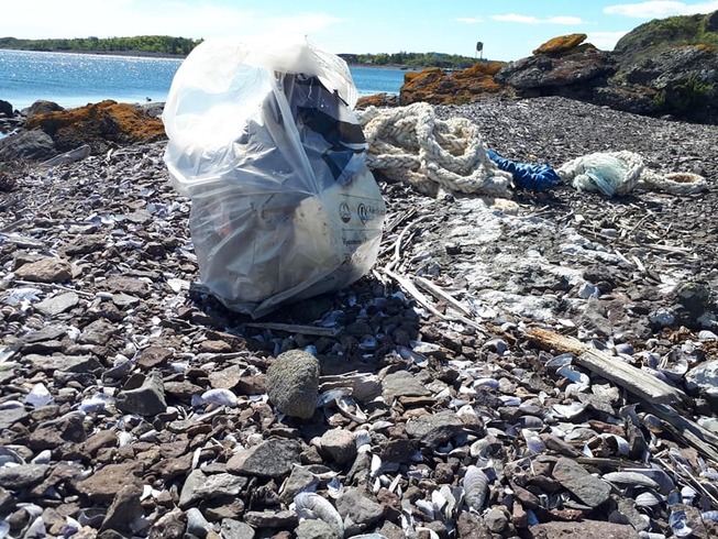 Strandrydding i Norge