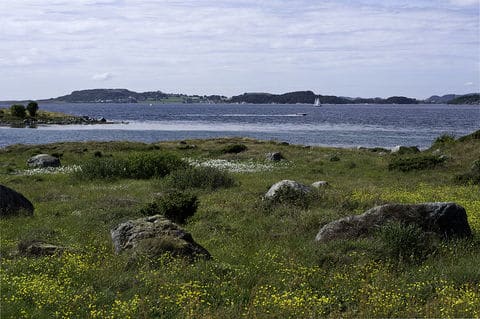 Hundvåg. Bilde: L. C. Nøttaasen