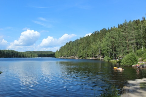 Steinbruvann