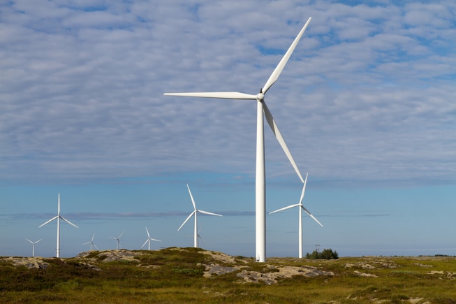 vindmølle vindmøller kysten havet natur