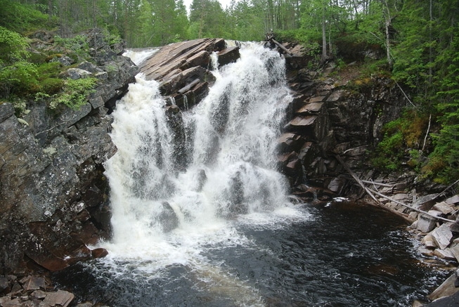 elv natur skog