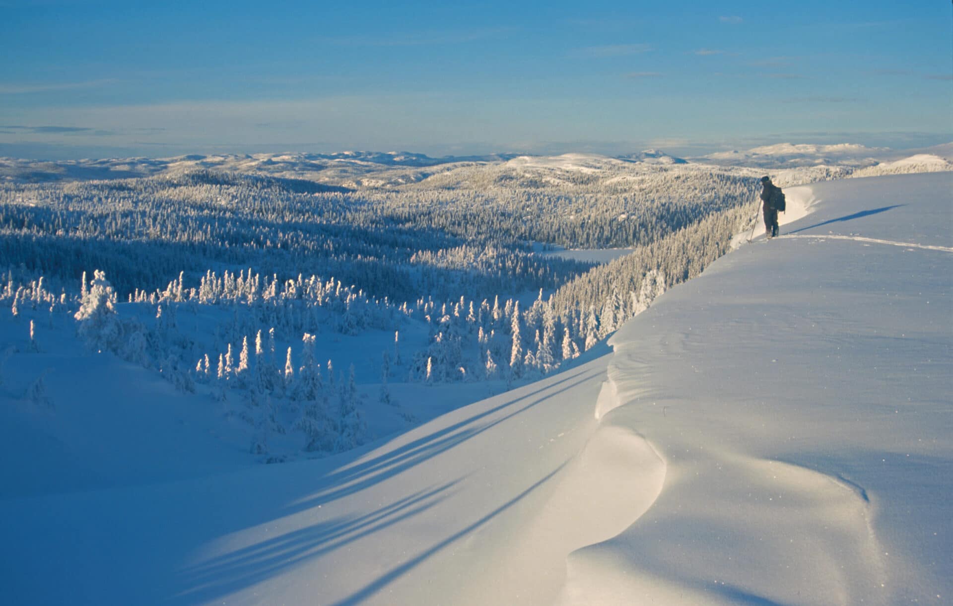 Langseterfjell med snø. Fjell Snø Ski Vinter