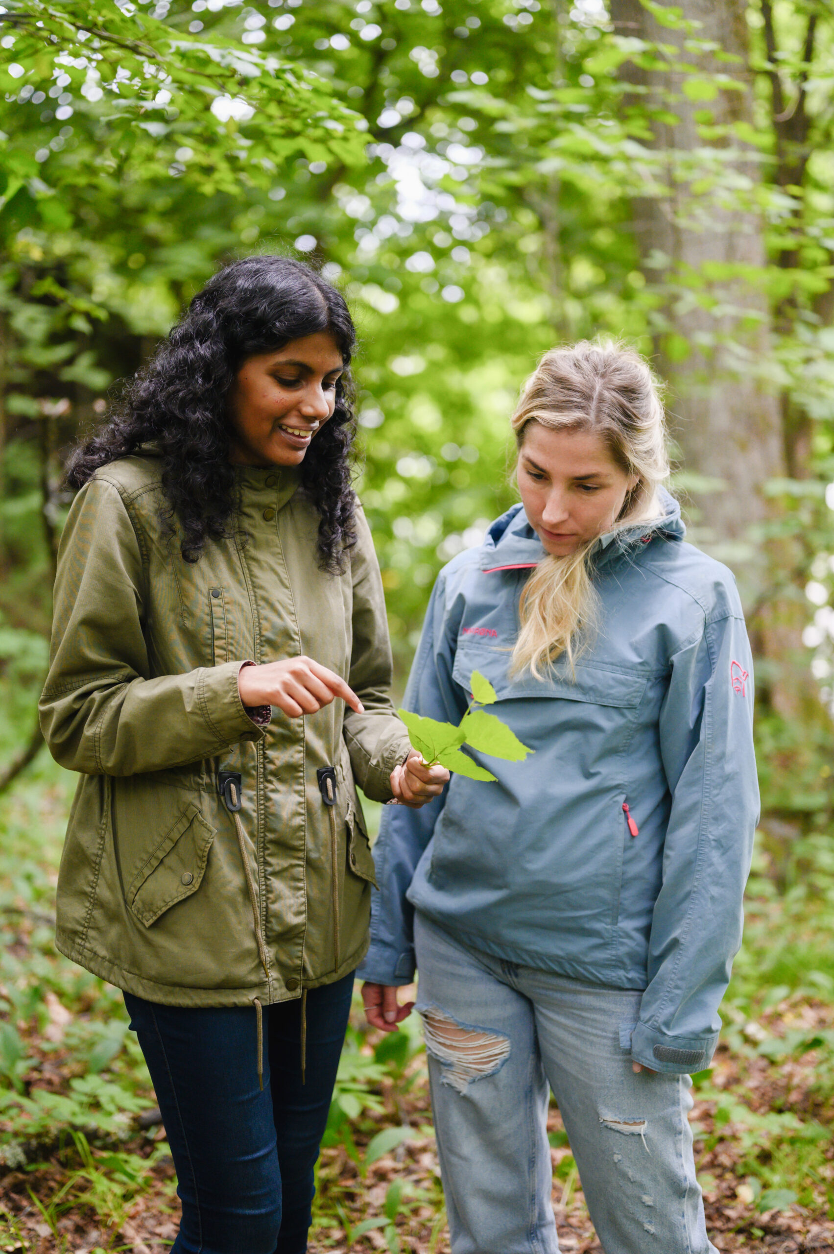 To kvinner som snakker om et blad i skogen