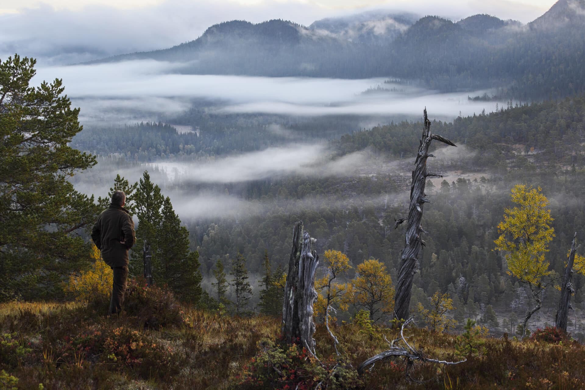 Utsikt over Grytdalen i Orkland. Foto: Steve Halsetrønning