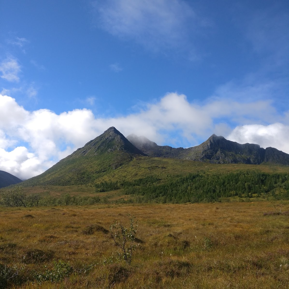 myr og fjell