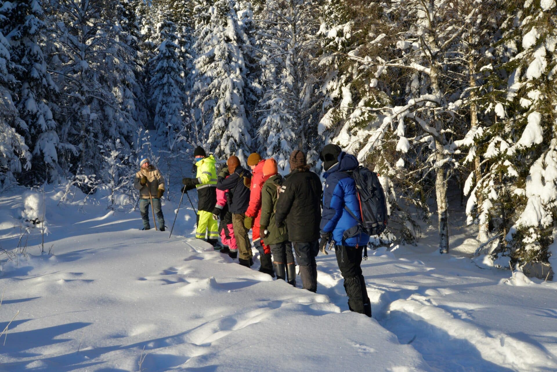 Ulvetur Rømskog