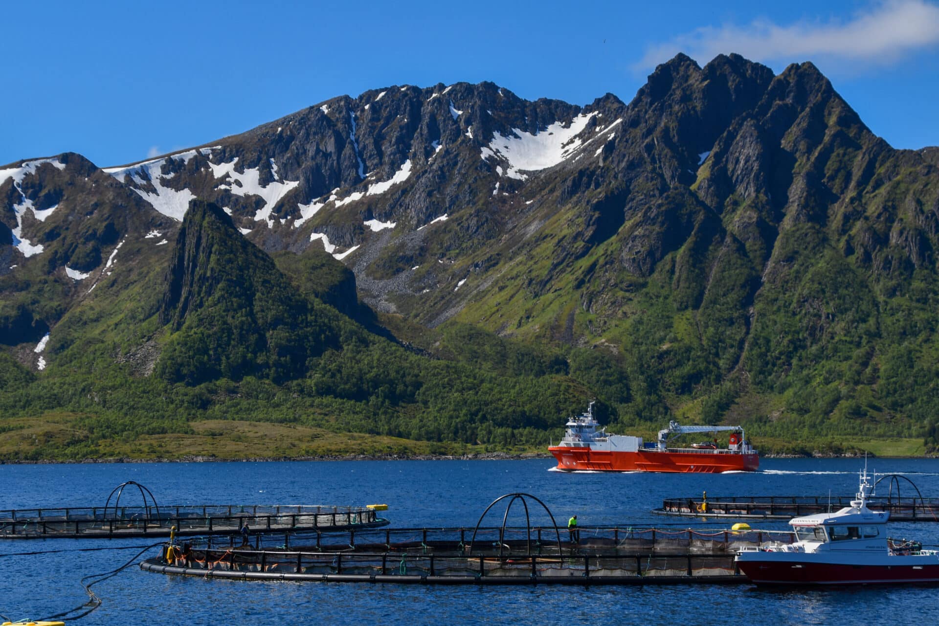 Bilde av oppdrettsmerder i sjø, med fjell i bakgrunnen