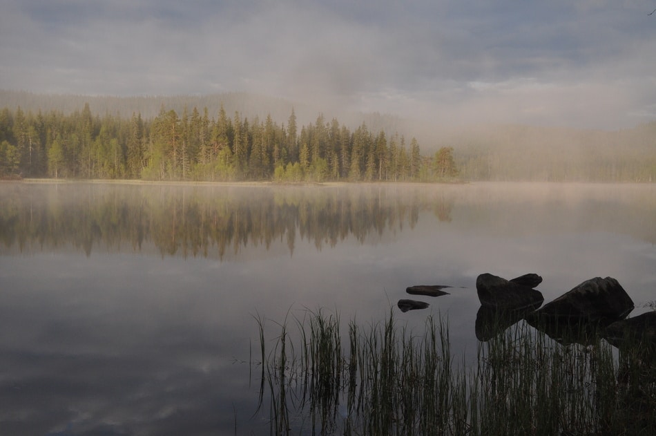 Spålen i Nordmarka