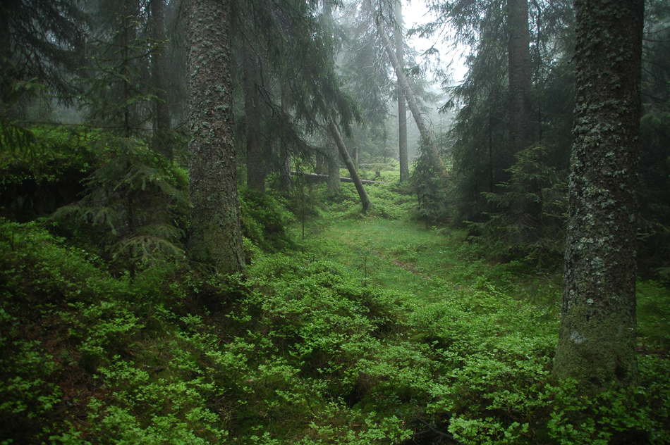 Skjennungsåsen