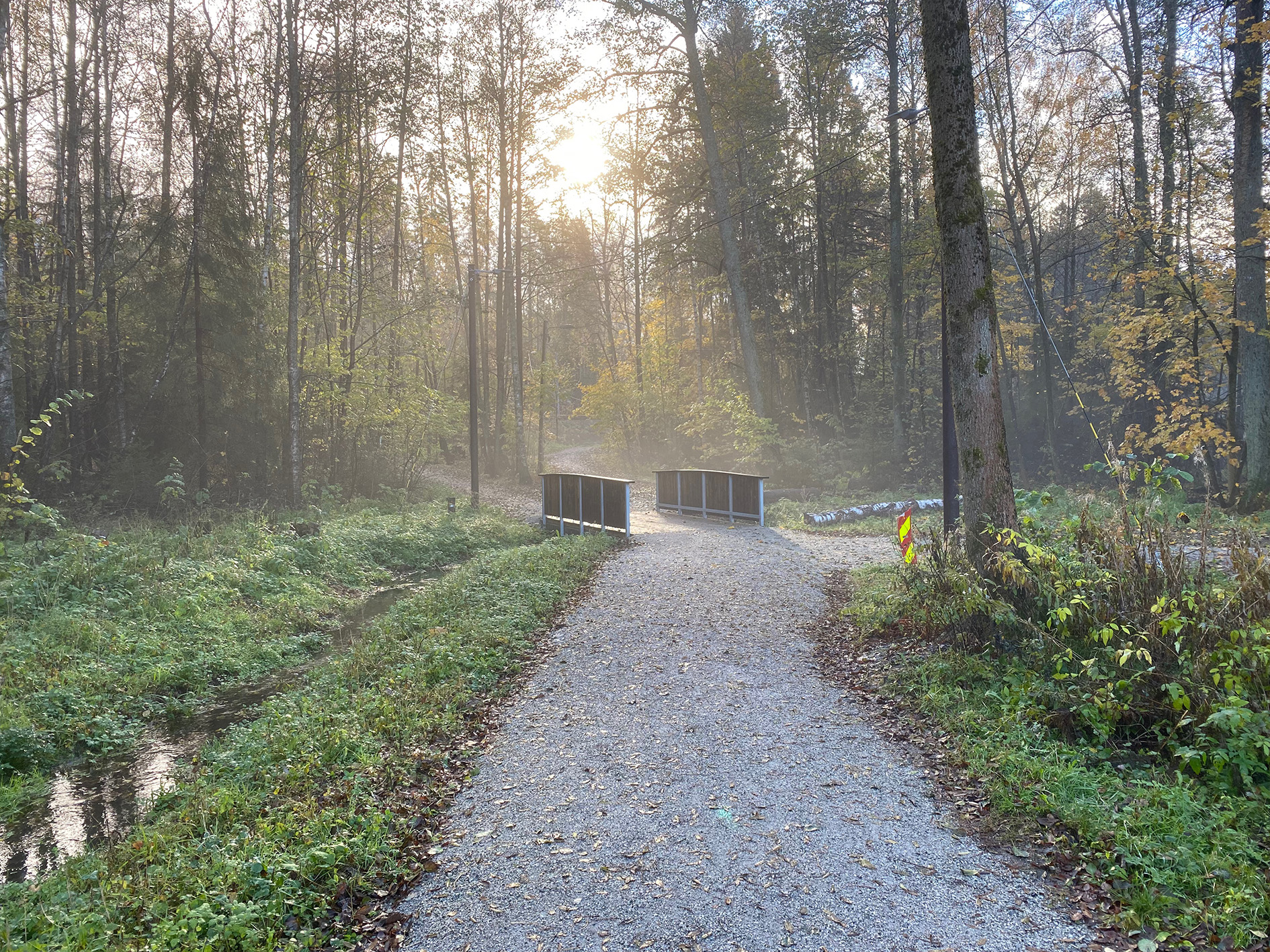 Tjernsrudskogen