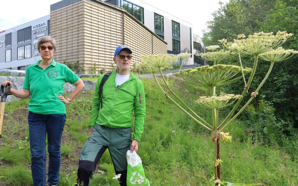 Kari og Kåre og den giftige planten kjempebjørnekjeks