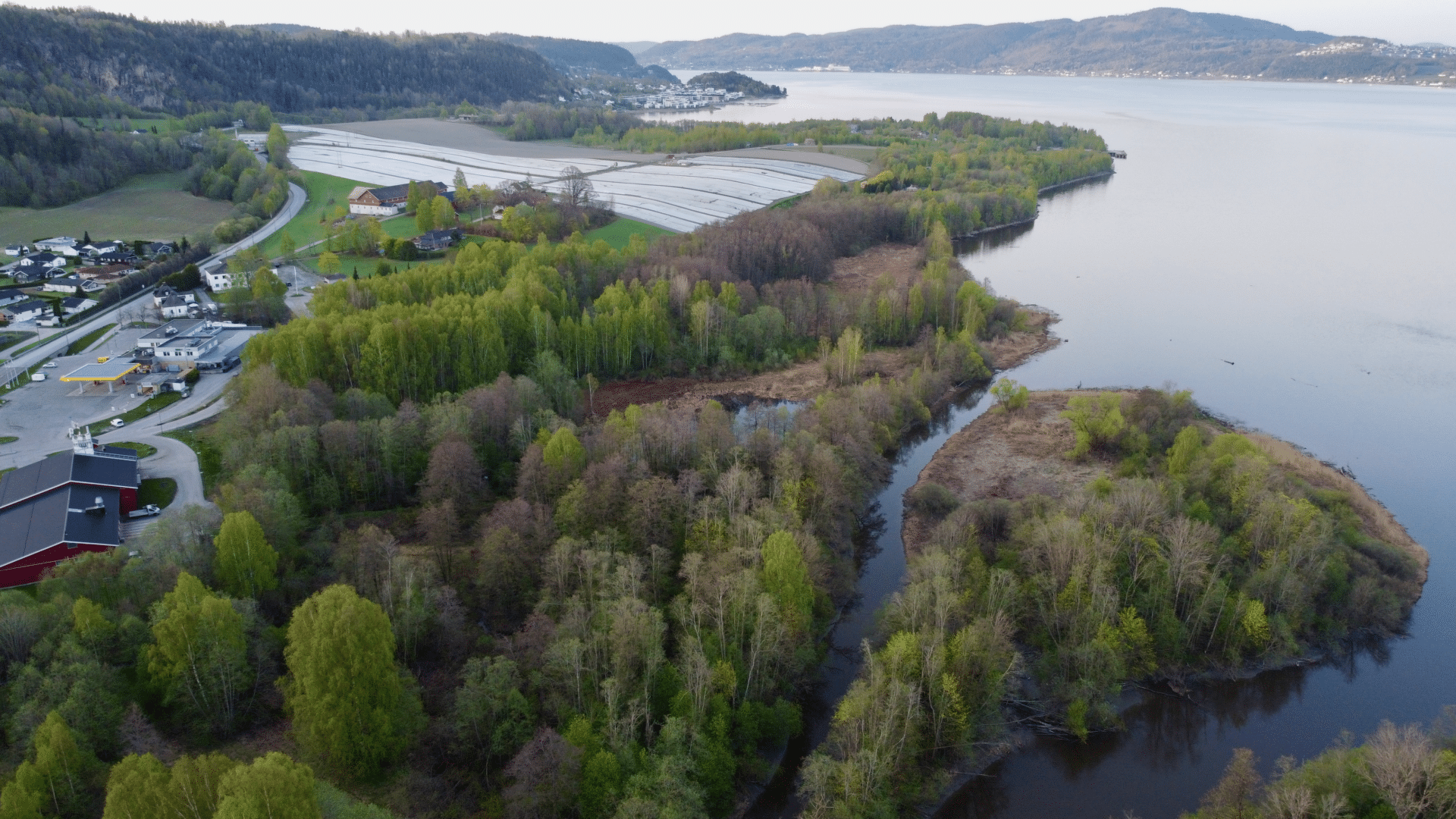 Fra Linnesstranda naturreservat, mot Gullaughalvøya