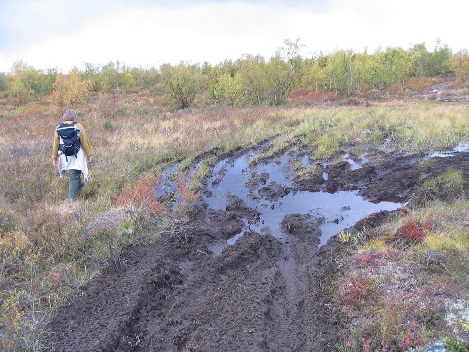 ATV-spor i natur