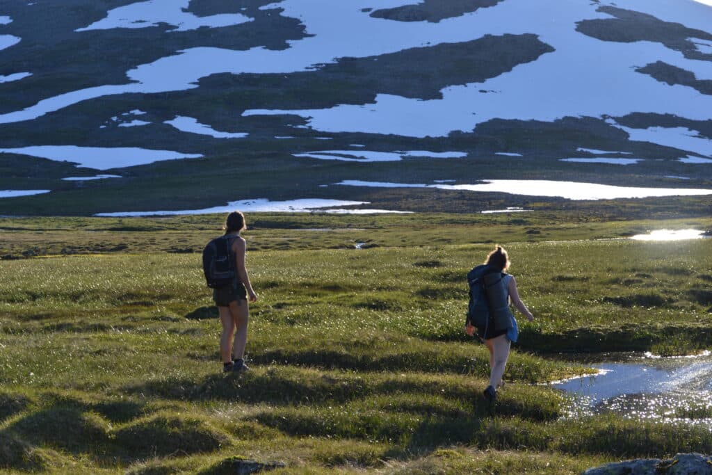 Hardanger fjellandskap.