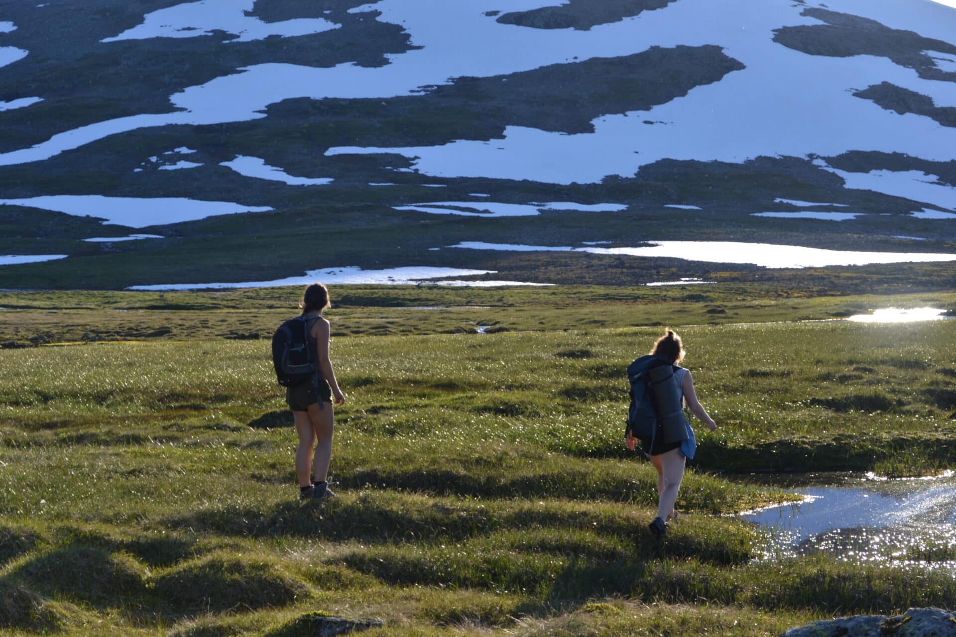 Hardanger fjellandskap.