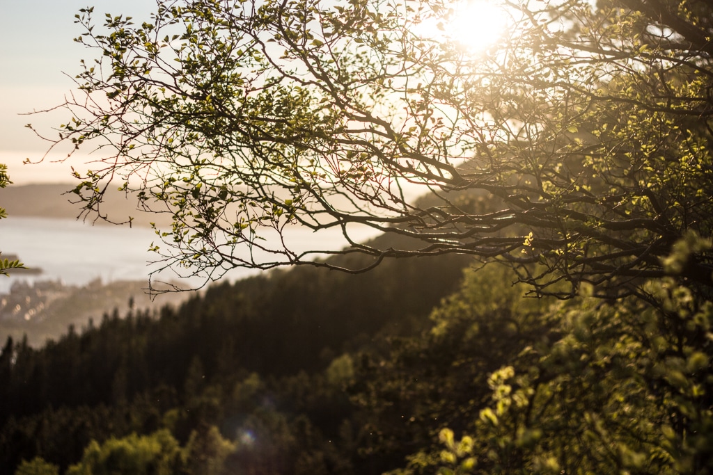 Opp til Ulriken, byfjell i Bergen