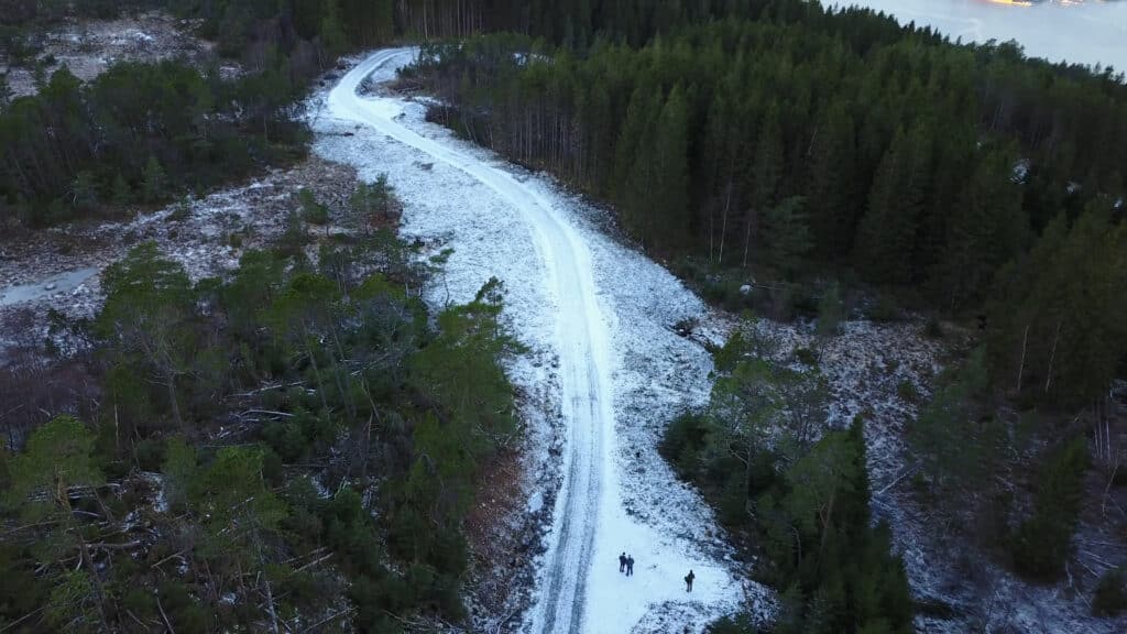 Skogsbilvei på Fanafjellet