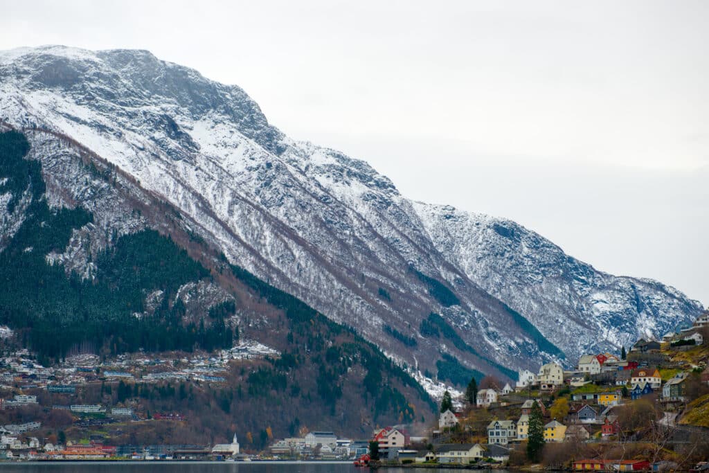 Rossnos om vinteren