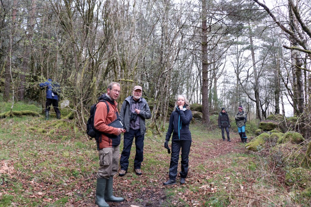 skogens uro, sveio-saken, skog, hogst, befaring