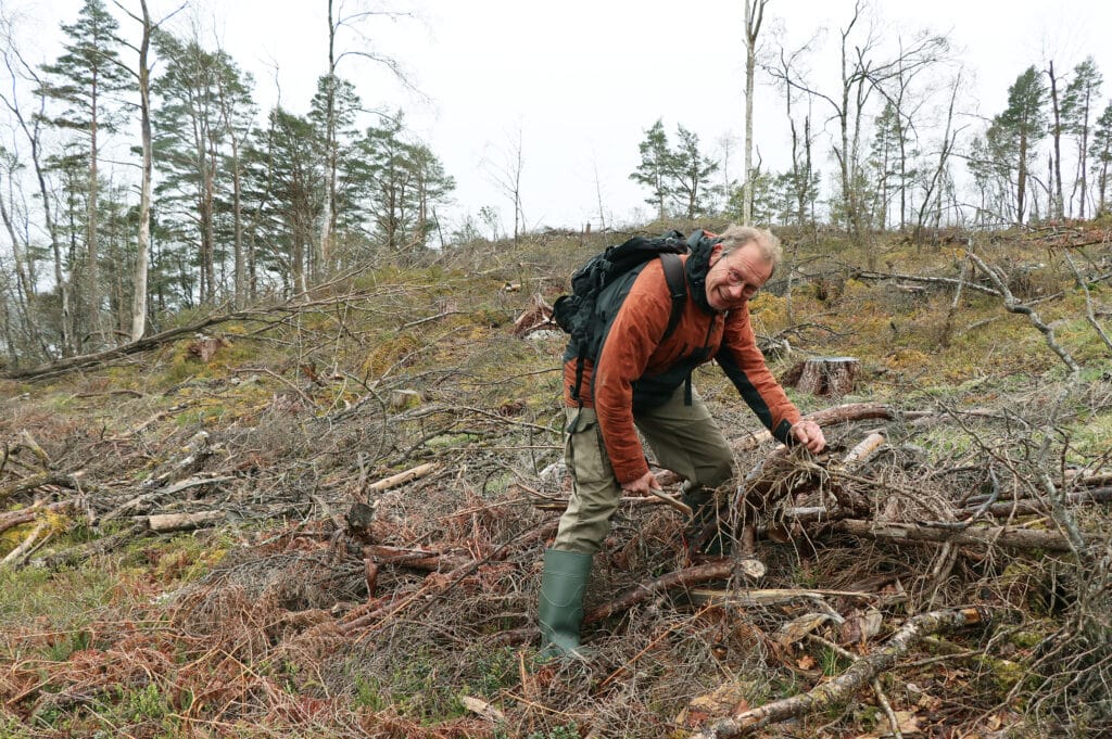 skogens uro, sveio-saken, skog, hogst, befaring