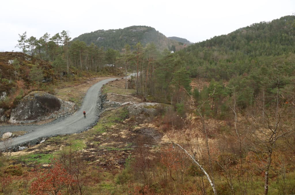 skogens uro, sveio-saken, skog, hogst, befaring