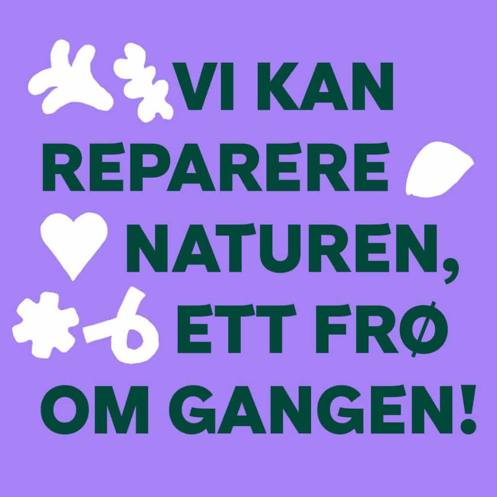 Oppdrag blomstereng, reparere naturen, ett frø om gangen