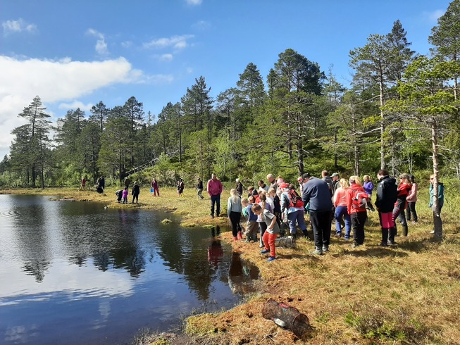 Salamander i Stjørdal