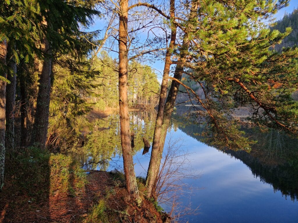 Høstbilde ved Nydammen, Vikelva