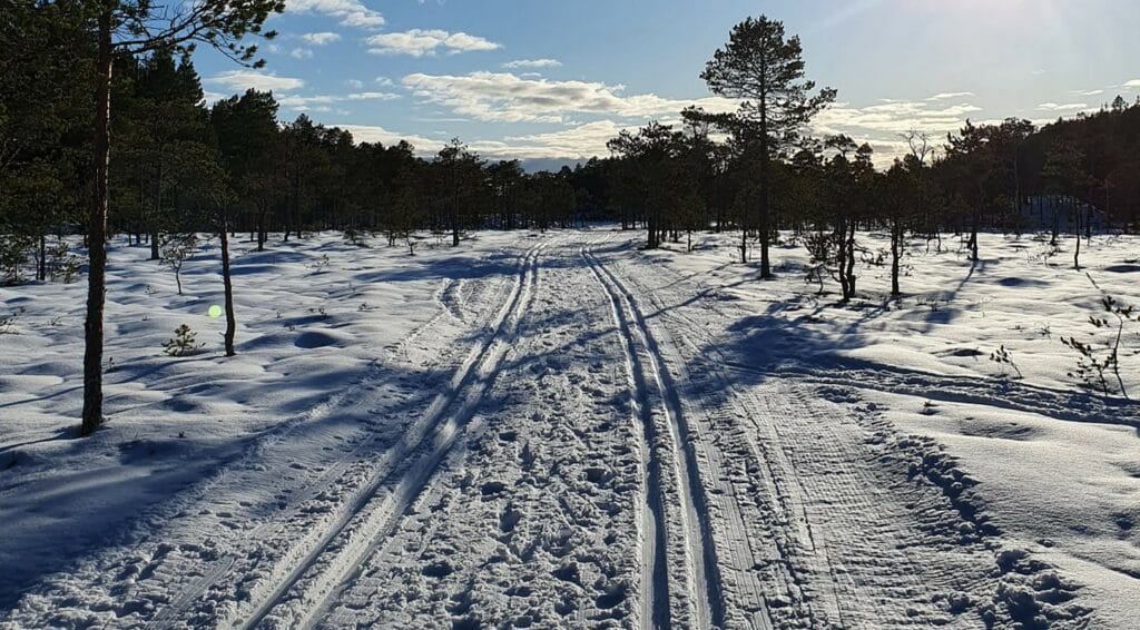 Frigården