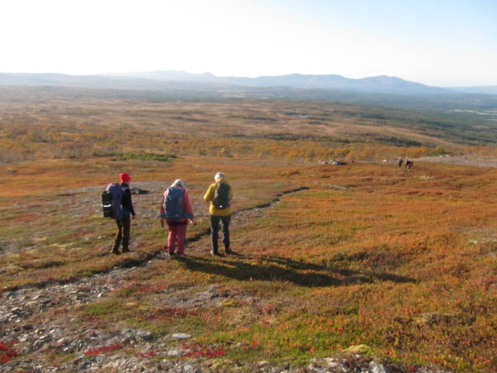 Høstfjellet