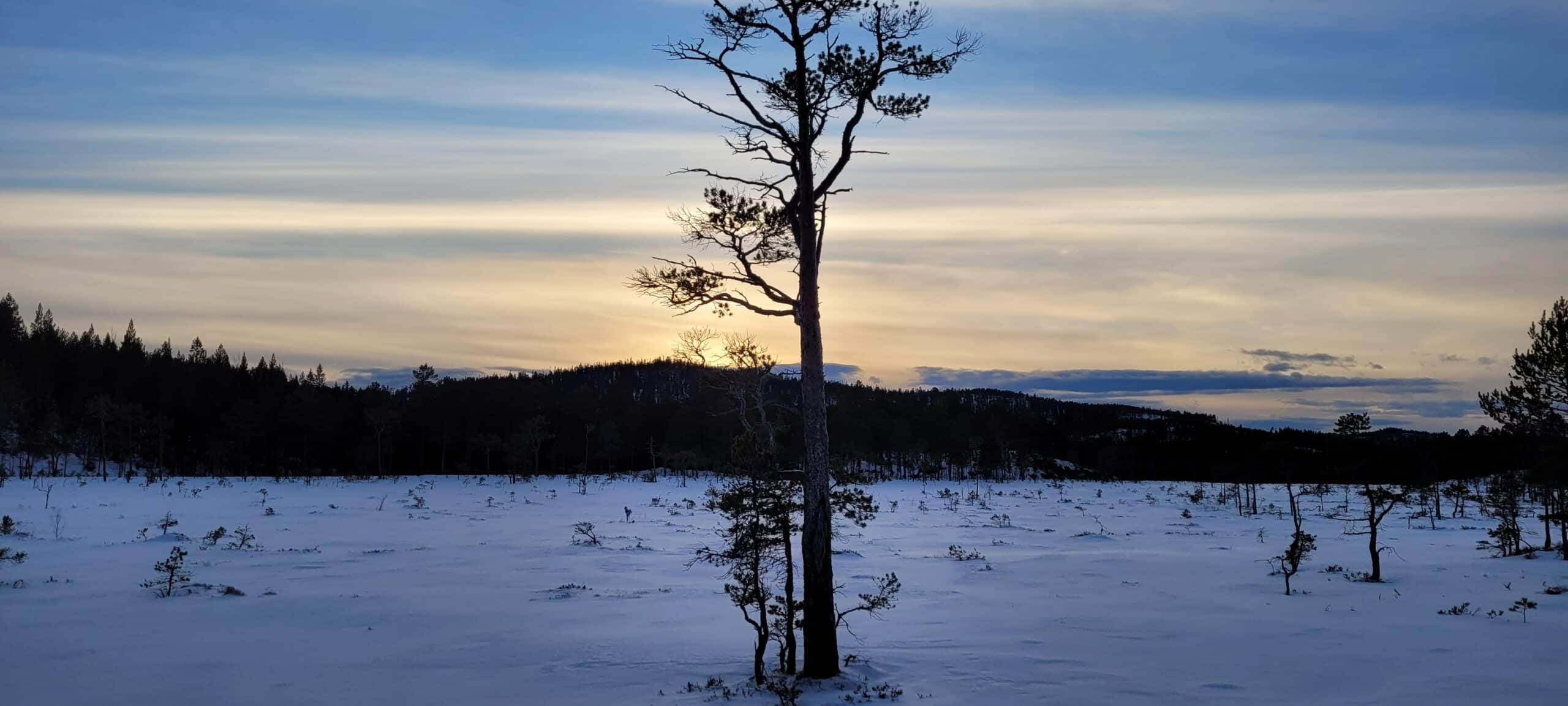 Vinter på Frigården