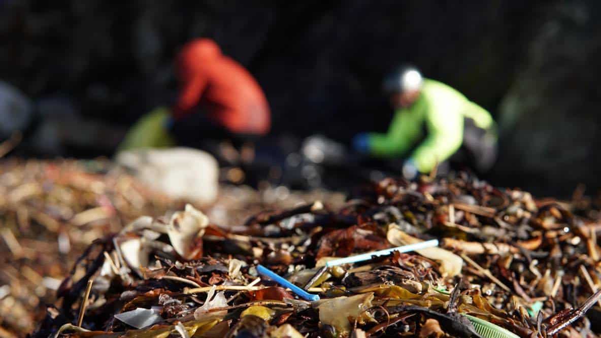 Ryddeaksjon Naturvernforbundet Trøndelag