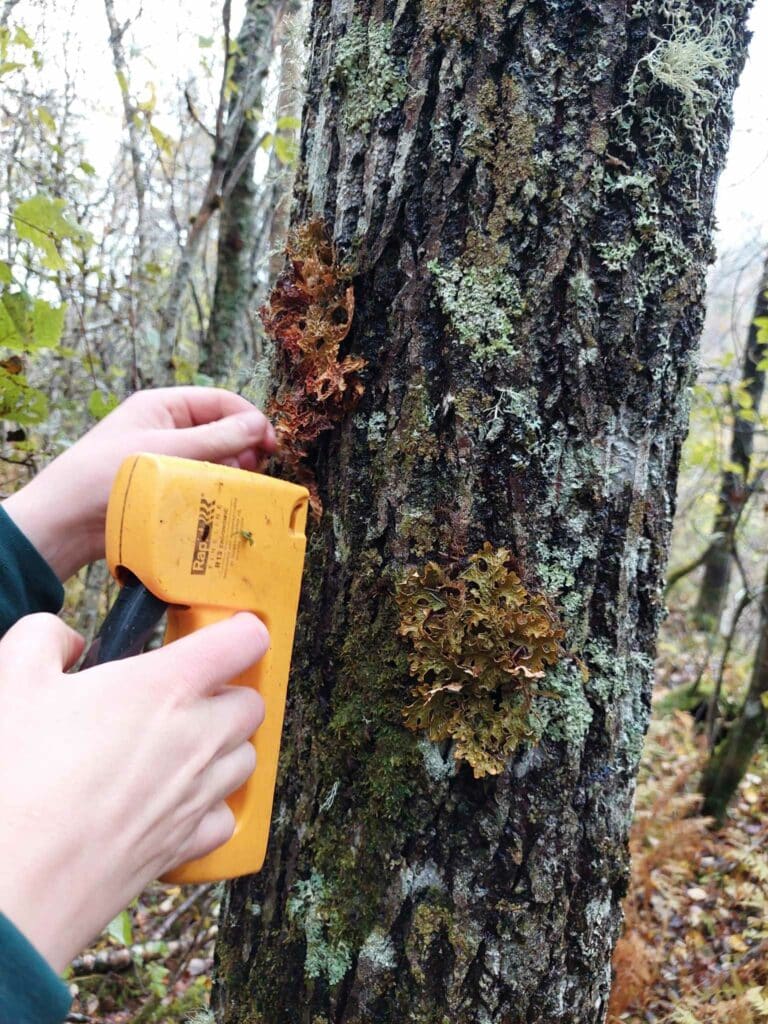 Naturvernforbundet i Trøndelag