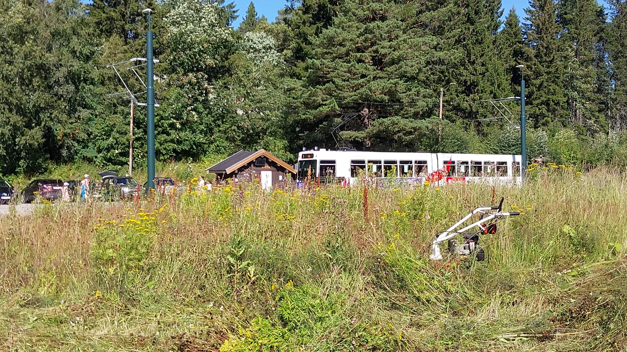 Naturvernforbundet i Trondheim Slåttedugnad