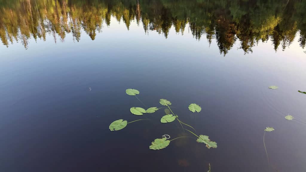 Rundtjern (foto Espen Backe)