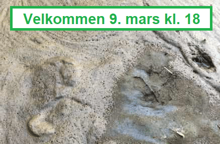 Informasjonsmøte og fakkeltog 9.mars 2023 kl 18-20