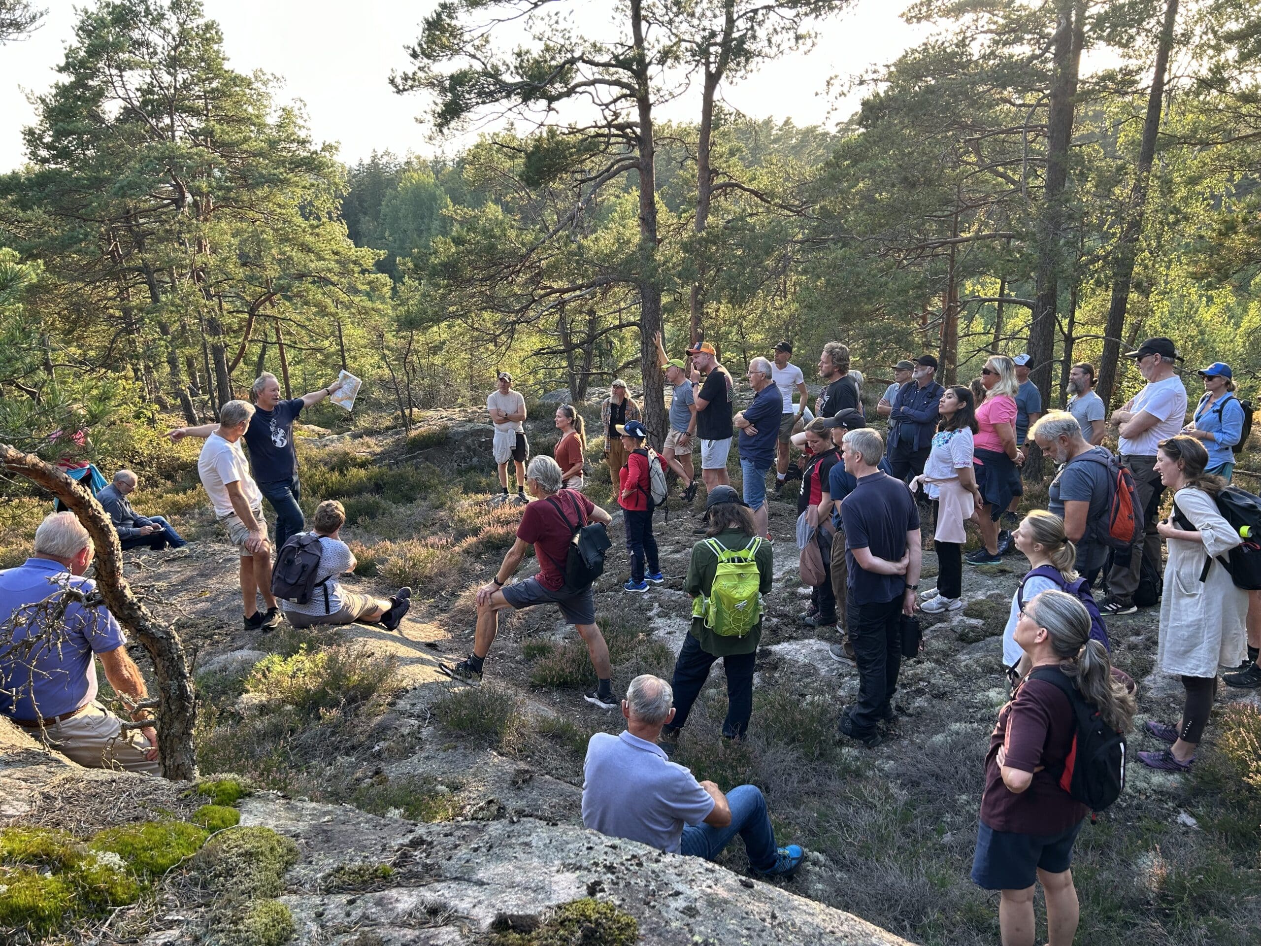 Viken park, toftebergskogen