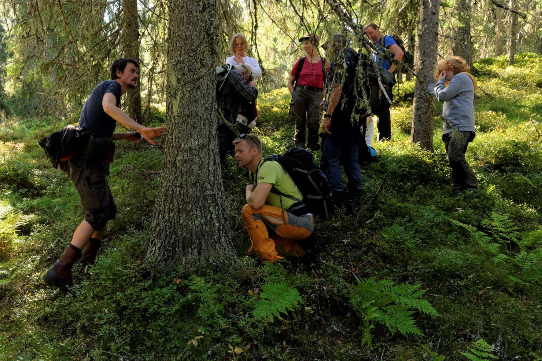 Tur til Knappkjølen. Naturvernforbundet i Sør-Østerdal.