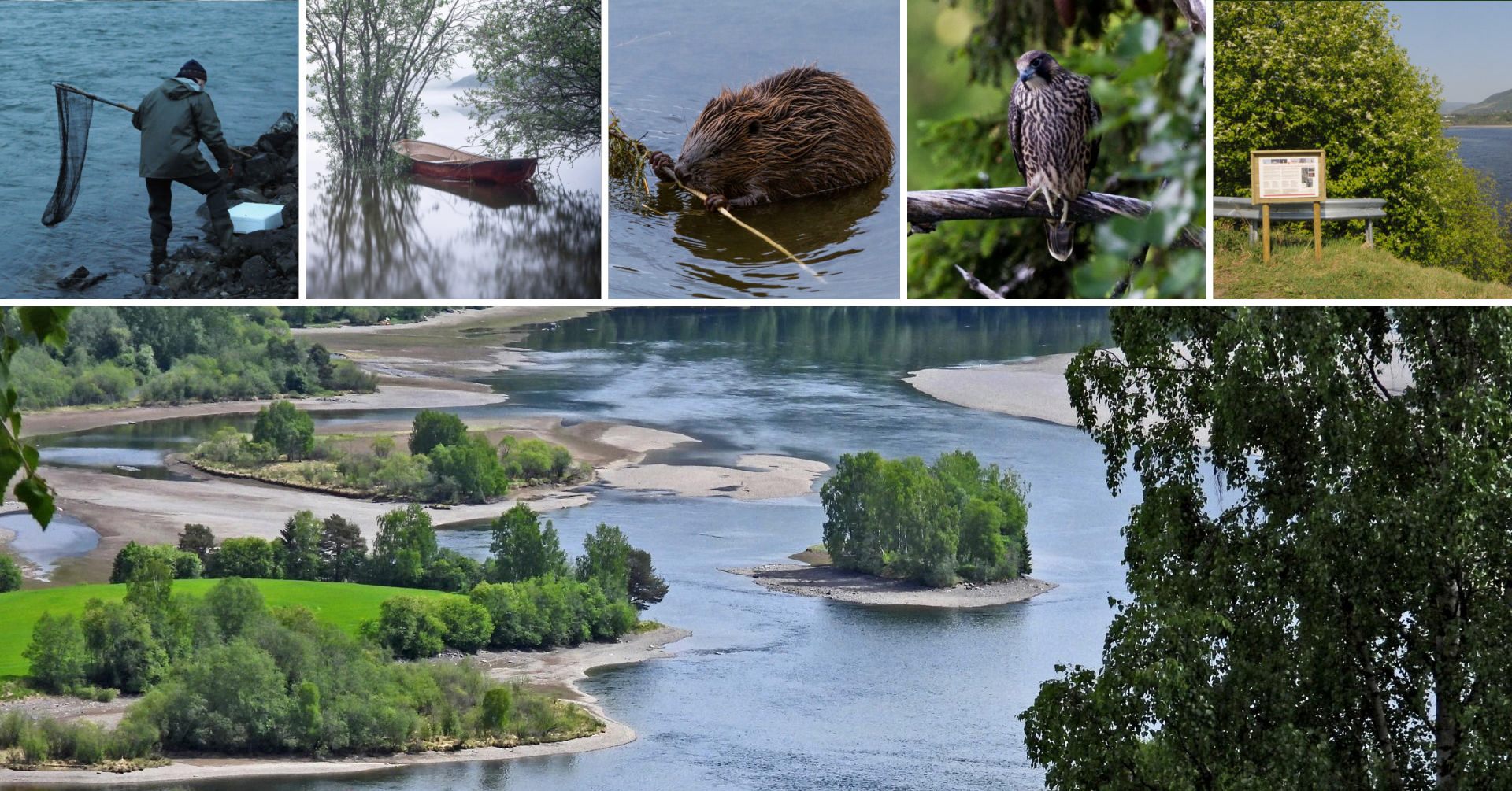 Fotomontasje Lågendeltaet. Foto: Bernt M. Tordhol m.fl.