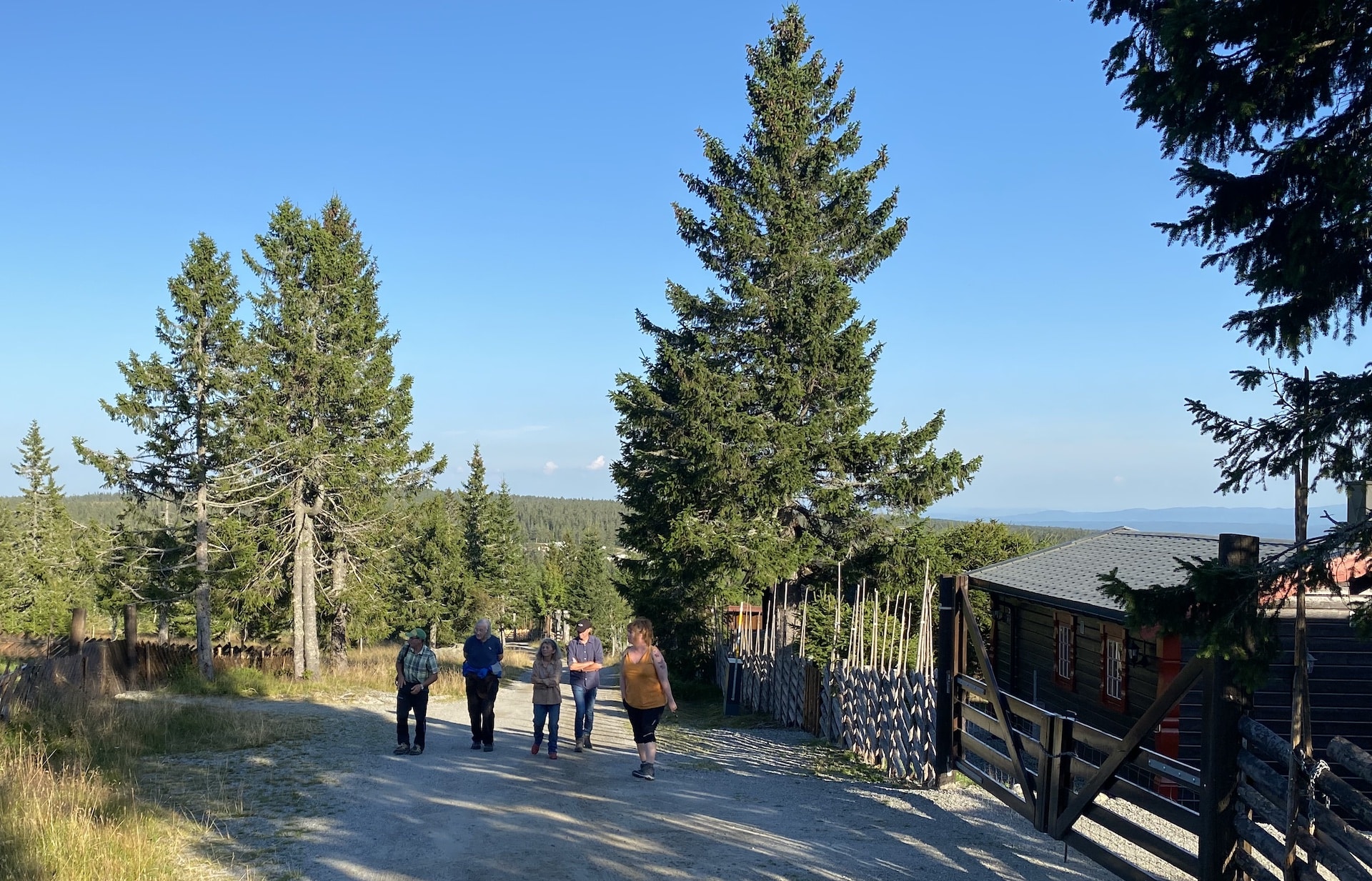 Fem mennesker på en grusvei ved siden av en hytte på Budor